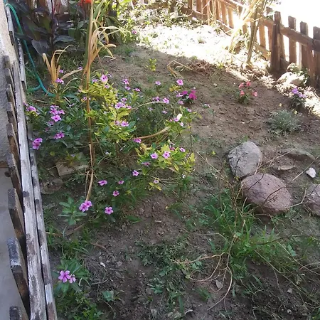 Orchidea House Feriehus Sant'Antìoco