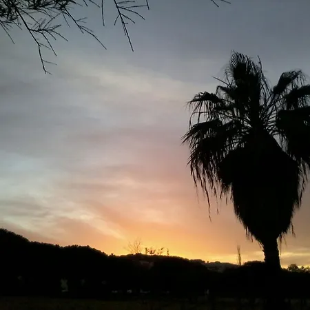 Semesterbostad Orchidea House