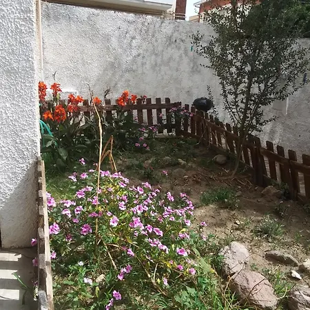 Vakantiehuis Orchidea House *