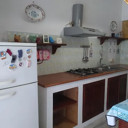 Orchidea House