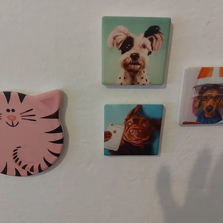 Vakantiehuis Orchidea House