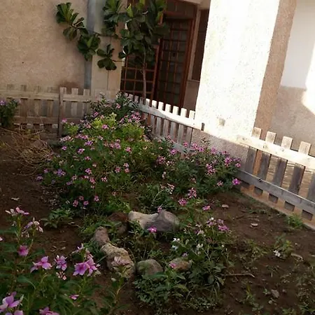 Orchidea House