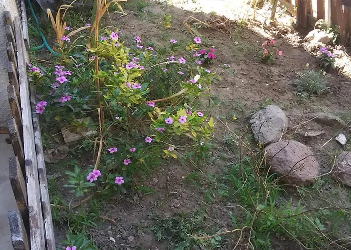 Orchidea House Nyaraló SantʼAntìoco