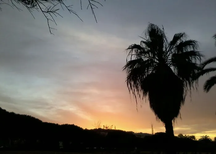 Nyaraló Orchidea House